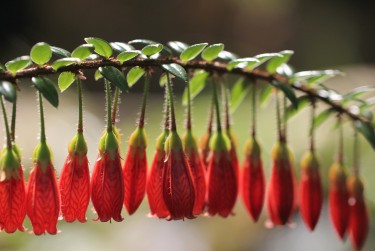 南京六合零用贷短借：轻松解决临时资金需求