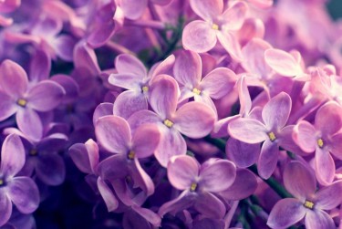 南京六合企业急用钱贷款攻略：快速融资解燃眉之急